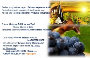 Renove-se: O ensino do Vinho te Ajudando encontrar o SOM de sua Vida.