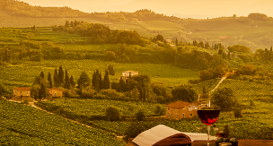 Vinhos do Veneto Lendas e Histórias - Paola Pedron 