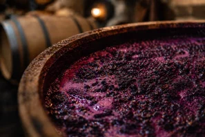 Close de um barril de madeira durante a fermentação do vinho, mostrando uvas esmagadas e espuma em tons roxos e avermelhados, com outros barris desfocados ao fundo em uma adega acolhedora