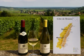 Garrafas de vinho tinto e branco com taça sobre superfície de pedra, diante de vinhedo ao fundo, acompanhadas de mapa da região “Côte de Beaune”, destacando a paisagem e a origem dos vinhos franceses
