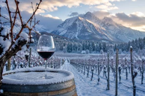 Taça de vinho tinto sobre barril coberto de neve em vinhedo de inverno, com montanhas nevadas ao fundo e fileiras de videiras em uma das regiões mais frias do mundo do vinho